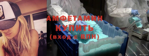 твердый Краснослободск
