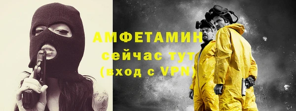 твердый Краснослободск