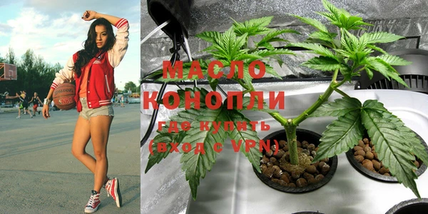 твердый Краснослободск