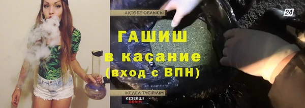 твердый Краснослободск
