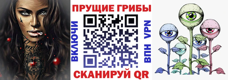Купить закладки  Удомля  Псилоцибиновые грибы MAGIC MUSHROOMS 
